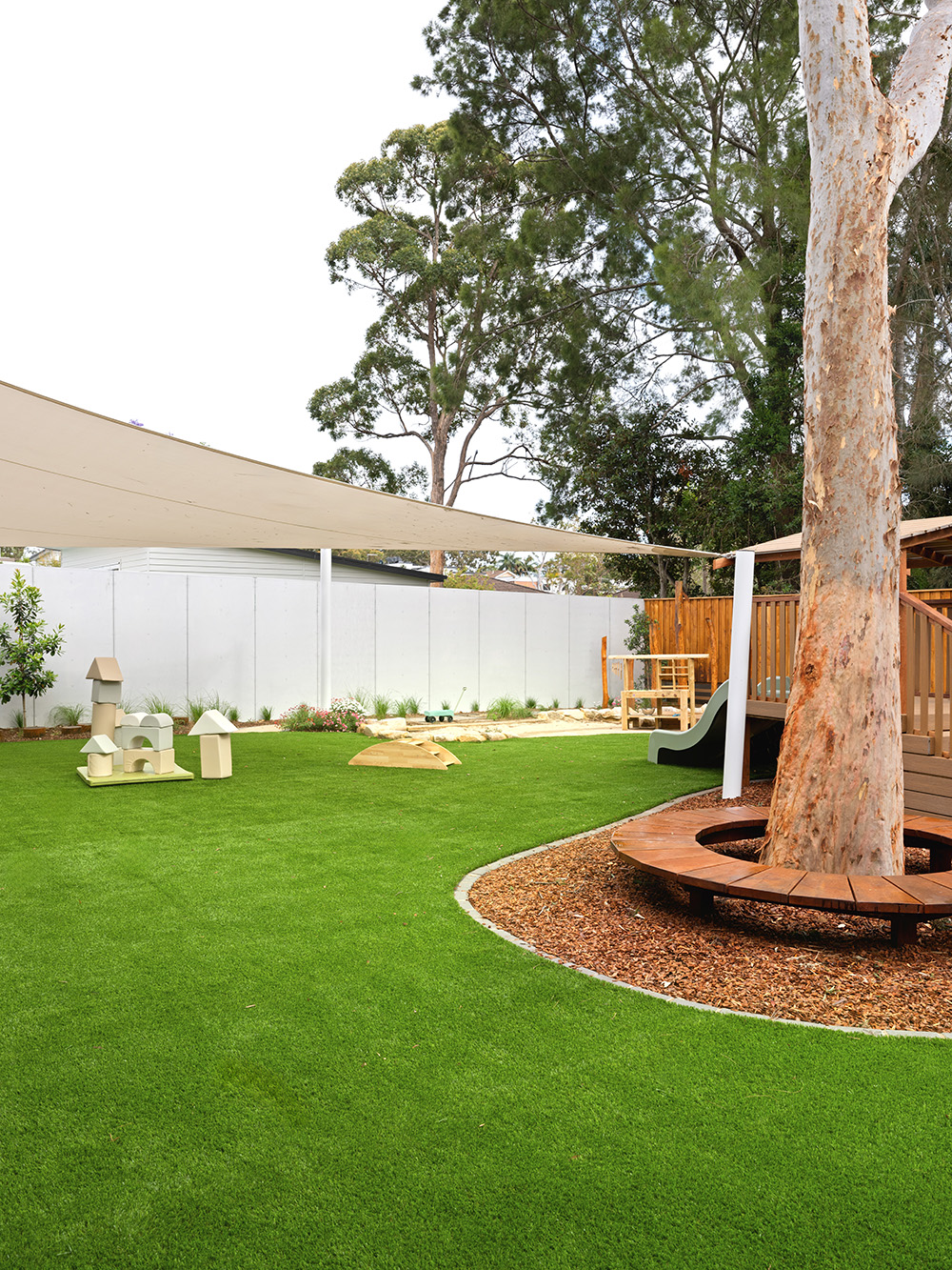 telopea-07110