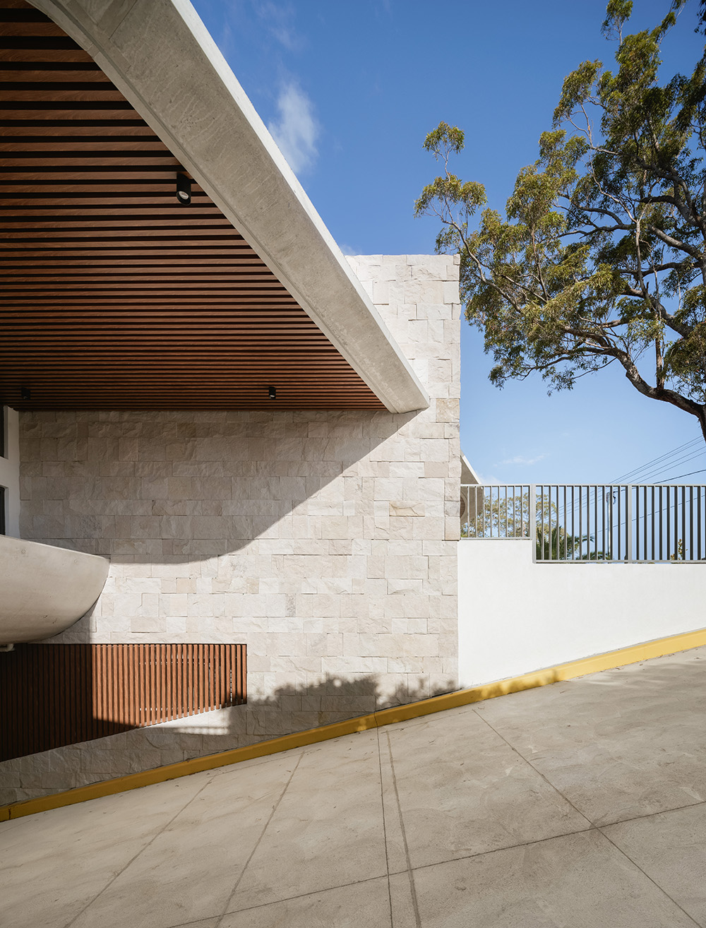 telopea-07969