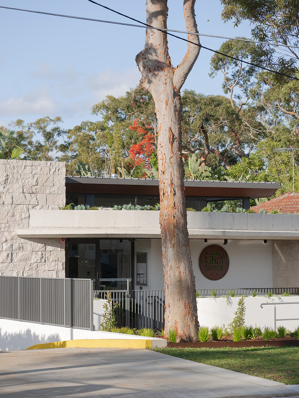 telopea-08243