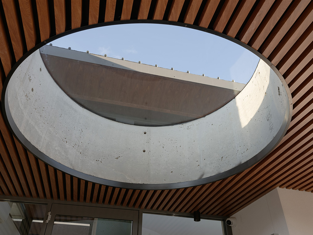 telopea-08365